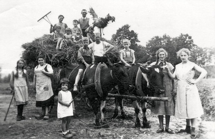 Erntewagen als Abschluss Hellberg