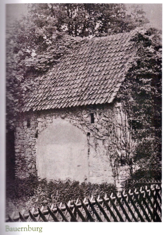Bauernburg Stapelage Bildband 800 Jahre Hörste 1