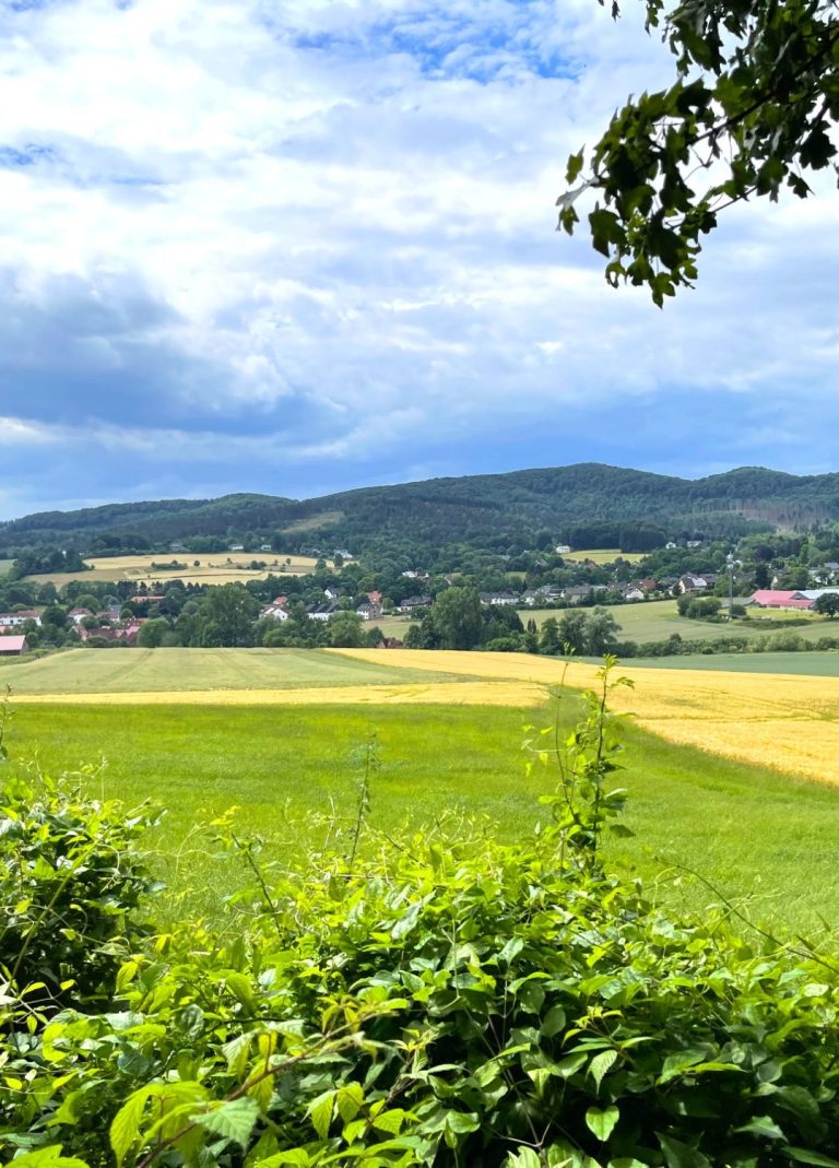 Landschaft Lage-Hörste